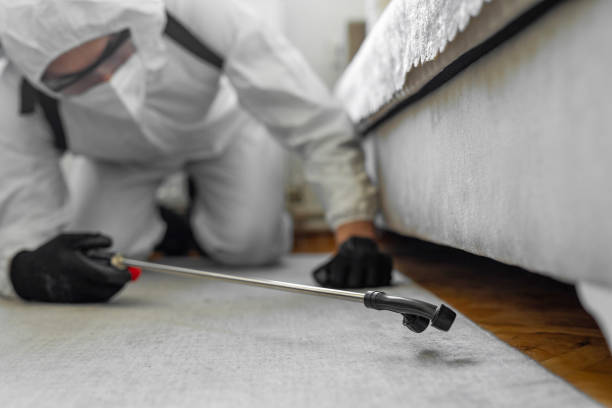 Professional Bed Bug Control technician working in Inman, KS